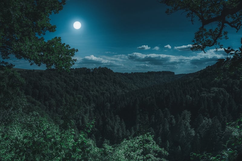 Moon Design